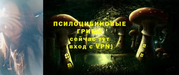 трава Абаза