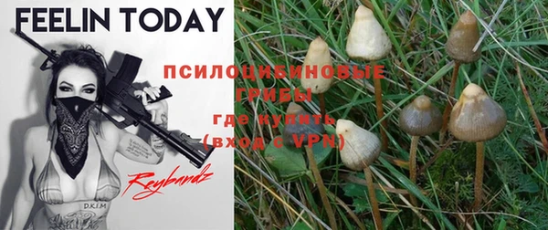 MESCALINE Новодвинск